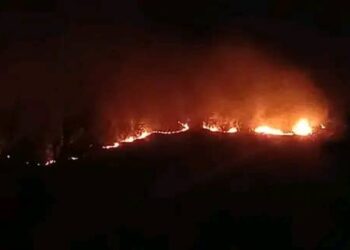 Dinguiraye : Brûlé par un feu de brousse, Moussa Camara âgé de 7 ans succombe !!!