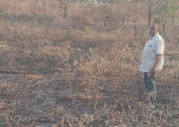 Kindia : Un autre champ ravagé par un incendie !!!