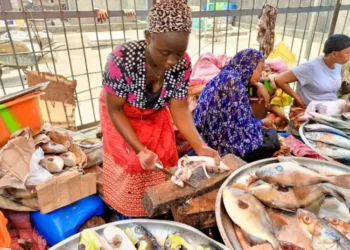 Importation de poissons vers Siguiri : Pour leur survie devant des Libanais, les mareyeuses sollicitent l’aide des autorités !!!