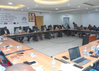 Tenue à Conakry d’une réunion du comité technique à la préparation de la table ronde des bailleurs sur le PRI !!!