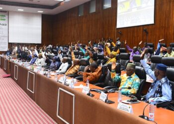 CNT : Examen et adoption d’importants projets de lois portant sur la convention et les accords relatifs au Projet SIMANDOU !!!