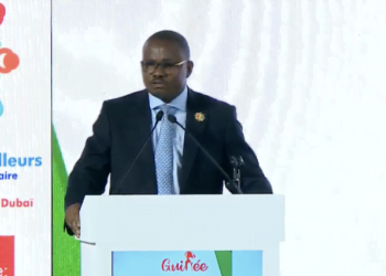 Transition : « Les 1ères ébauches de la nouvelle Constitution seront présentées au Peuple de Guinée en mars prochain » annonce Dr Dansa Kourouma !!!