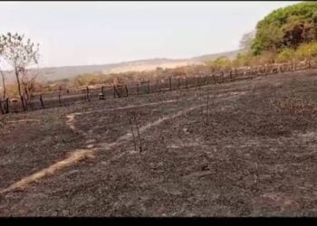 Tougué : Un feu aux origines mystérieuses sème la terreur à Madina !!!