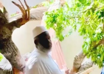 Insolite : Un baobab centenaire s’effondre subitement sur la maison du 1er imam de la Mosquée Fayçal de Conakry !!!