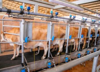 Sécurité alimentaire : Vers l’expérimentation du modèle Rwandais en Guinée ?