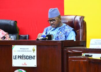 Présentation de la politique générale du gouvernement par le PM, Amadou Oury Bah, voici ce qu’a dit Dr Dansa Kourouma (Clichés) !!!