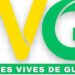 Guinée : Retrait des agréments des radios et télévisions privées, ‘’c’est un aveu d’impuissance des autorités’’ selon les forces vives (Déclaration) !!!