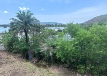 Réhabilitation des têtes de sources des barrages hydroélectriques de Garafiri, Donkéah, Banéah : Le Groupe UMS accompagne le grand projet (Communiqué de Presse) !!!