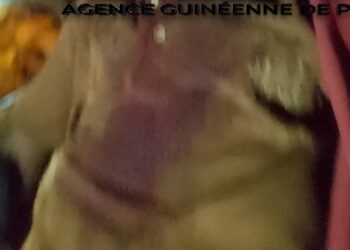 Gestion d’héritage : Un homme tire à bout portant sur son frère à Kindia !!!