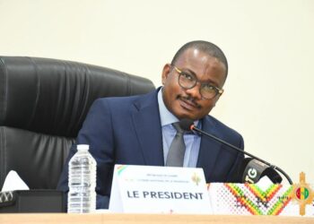 Amendement de l’article 36 des Statuts de la BCRG, le CNT a choisi de munir le Gouvernement d’une arme de prévention en lieu et place d’une arme de guerre !!!