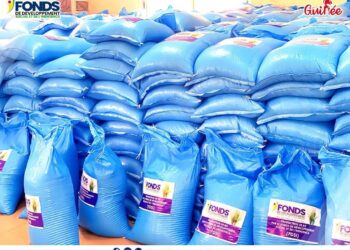 Humanitaire : Le FDSI remet des sacs de riz récoltés aux autorités de N’zérékoré !!!