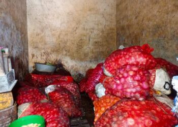 Conakry : Des sacs d’oignons pourris saisis au marché de Gbessia !!!