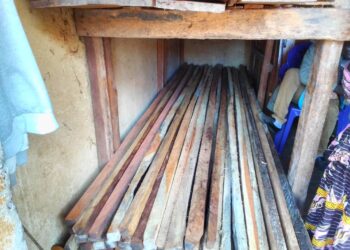 Labé : Une décision des autorités impacte les acteurs de la filière bois !!!