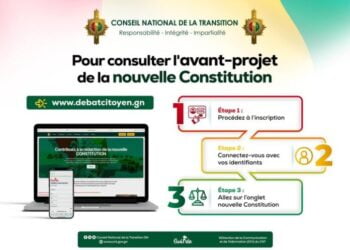 Avant-projet de la nouvelle Constitution : consultez le texte en cliquant sur https://debatcitoyen.gn/