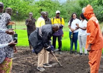 Boké-Agriculture : Le groupe UMS renforce la filière rizicole et soutient l’autonomie des communautés de Katougouma !!!