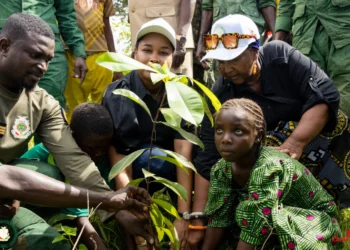 Guinée : ‘’Dans 15 à 20 ans, nos enfants n’auront que leurs yeux pour pleurer’’ alerte madame Djami Diallo Ministre de l’Environnement !!!