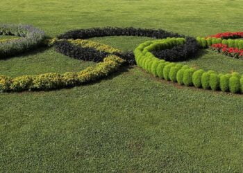 JO 2024 : la Nouvelle-Zélande fait tomber la Guinée, l’Égypte déçoit!!!