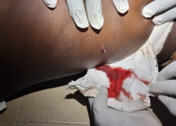 Attaque à main armée à Siguiri : Un orpailleur père de 9 enfants tué et un autre père de 12 enfants blessé !!!