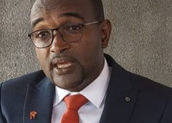 Hamidou Barry : « Les candidatures indépendantes ne sont pas les bienvenues au niveau de la classe politique guinéenne » !!!