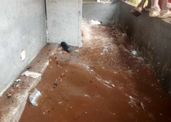 Inondations à Conakry : Les fortes pluies causent des dégâts considérables à Matoto (résumé) !!!