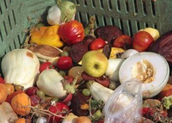 Maroc : bientôt une loi contre le gaspillage alimentaire !!!