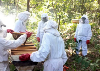 Conakry Terminal soutient le projet d&rsquo;apiculture, de maraîchage et d&rsquo;élevage autour du Parc National du Haut Niger!!!