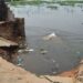 Cameroun : inondations mortelles à Yagoua, l’Extrême-Nord face à une catastrophe!!!