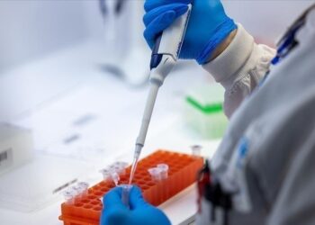 Santé : l’épidémie de variole du singe officiellement déclarée en Guinée !!!