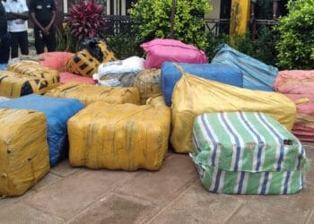 Une quantité de chanvre indien saisie par la police à Coyah !!!