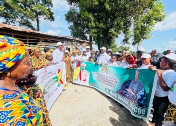 Célébration de l’An 66 de l’indépendance de la Guinée : Macky Guissé DGA du CGC, invité de marque à Maferenya !!!
