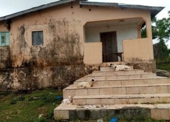 Kassa : l’île de Room dans l’oubliette des autorités communales, les citoyens réclament le retour d’un ancien sous-préfet