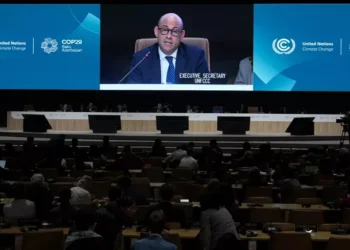 La COP29 débloque 300 milliards de dollars pour les pays en développement