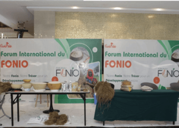 Conakry : Tenu du forum du Fonio avec pour thème ‘’ ‘’le fonio une céréale d&rsquo;avenir’’