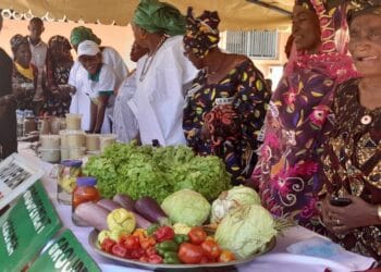 Kankan : La journée internationale de la femme rurale et la journée mondiale de l’alimentation célébrées en différé