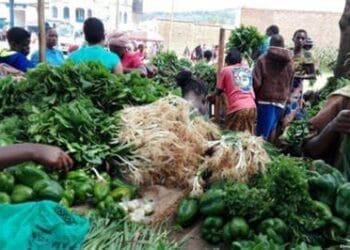 Guinée : Le niveau général des prix à la consommation en octobre 2024 a connu une hausse de 0,1 % (Rapport INS)