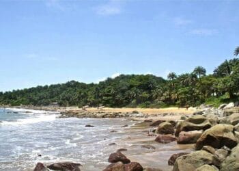 Affaire d’organisation d’un tournoi doté du Gl Mamadi Doumbouay à Kassa : Les faits au-delà du sensationnel