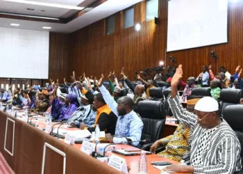 PLÉNIÈRE : Examen et Adoption du Rapport Volet Recettes du projet de la Loi de Finances Initiale exercice 2025