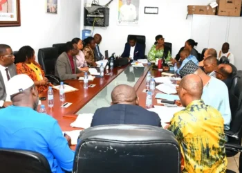 Examen LFI 2025 : les cadres du ministère des affaires étrangères plaident pour la prise en compte des préoccupations de leur département dans le budget 2025