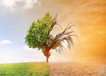 Rétrospective 2024 : l’Afrique à l’épreuve du changement climatique