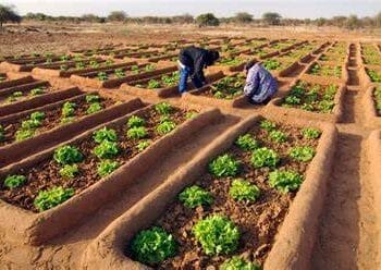 Changements climatiques : ‘’L’agroécologie, reste la solution pour l’adaptation’’ selon les acteurs