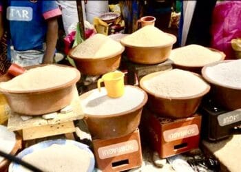 Guinée : Le taux d’insécurité alimentaire augmente de 14% entre 2018 et 2024 (INS)