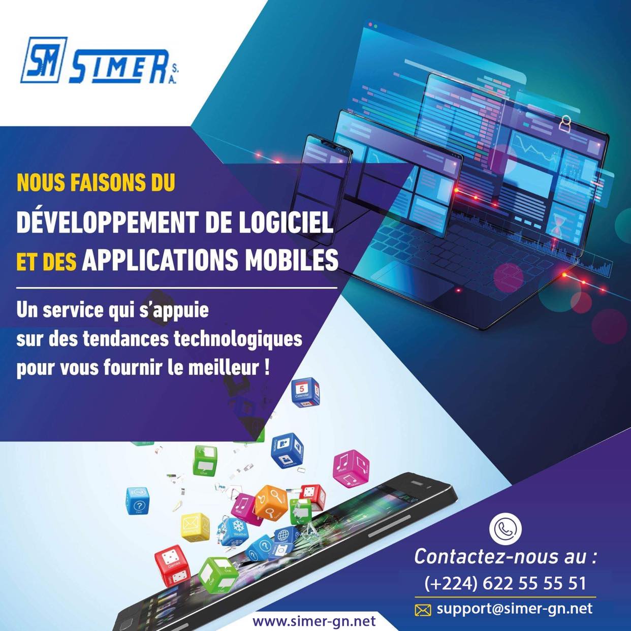 Simer guinée groupe