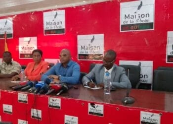 Transition en Guinée : le Haut Conseil des Guinéens établis à l’Étranger invite à tous les acteurs socio-politiques à un dialogue sincère