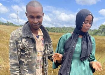 Kagbélen : Binta Bah assassine son mari Boubacar Sidy Bah