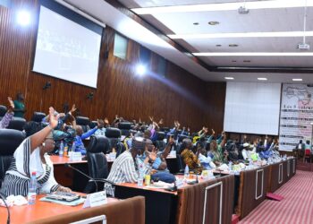 Sécurité Sociale en Guinée : Deux conventions adoptées par la majorité des conseillers nationaux (Plénière)