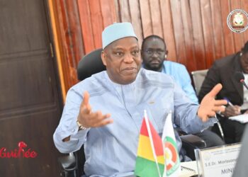 Des missions diplomatiques et consulaires de la Guinée évaluées par le Ministère (Rapport)