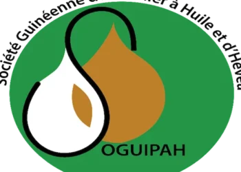 Relance de l’Avis d’Appel d’Offres National (AAON) N°005/DGS/2024 pour l’acquisition des consommables (cartouches d’encre en noir et en couleur) et matériels informatiques en deux (02)