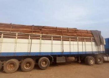 Tracasseries sur l’axe Pamalap-Conakry : le cri d’alerte des importateurs de bois