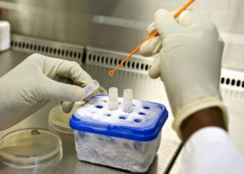 Réactivation des sites sentinelles : La Guinée renforce sa surveillance contre la méningite