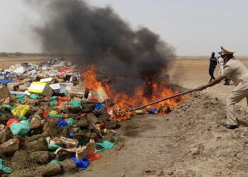 Faranah : Plus de 4 tonnes de produits impropres à la consommation incinérées